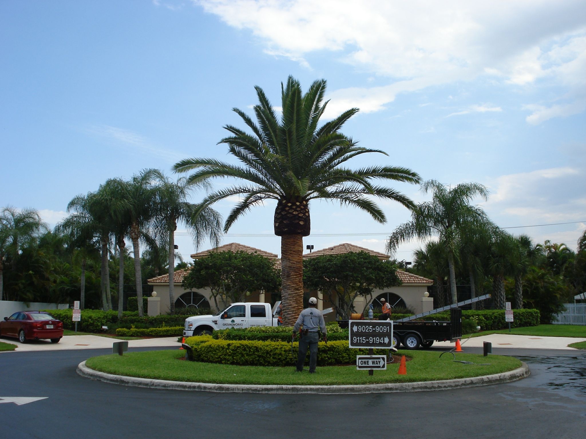 Palm after Groundworks MagicTouch rejuvenation