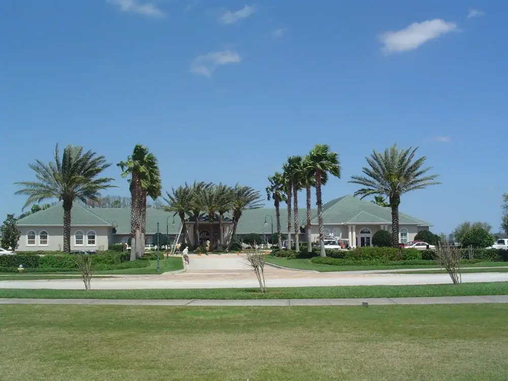 Mature date palm before MagicTouch rejuvenation