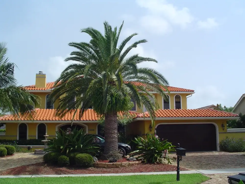 Palm before MagicTouch rejuvenation